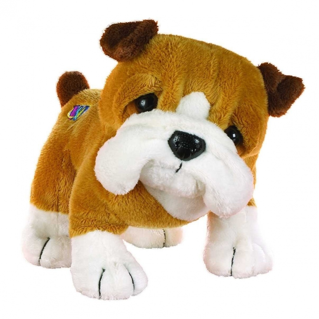webkinz pets