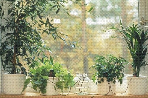 Made in... 5 Plant Self Watering System for Houseplants Blumat Watering Stakes