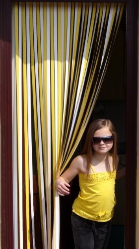 Pastel Multi Slat Type Door Curtain Fly Blind With Pair Of Screw
