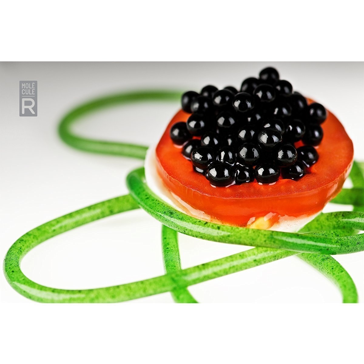 MoleculeR CULINARY COMBO Cuisine Molecular Gastronomy Kit /& Food Styling Syringe