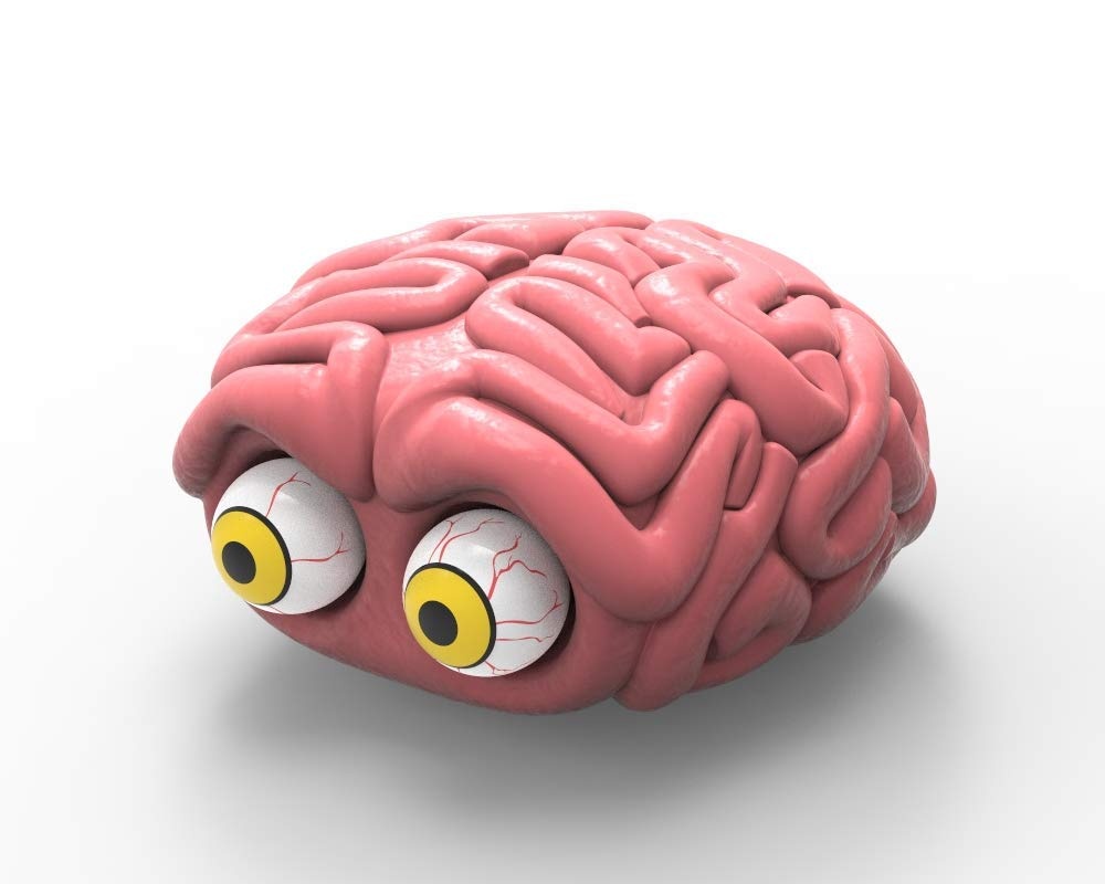 squishy brain toy