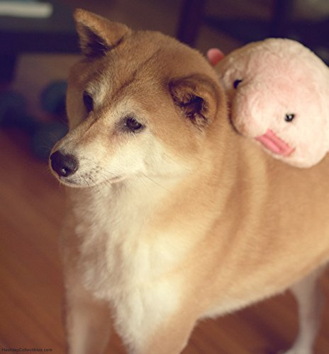 blobfish teddy bear
